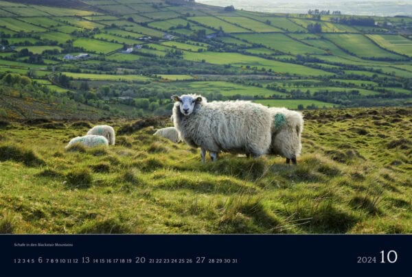 Ireland 2024 Calendar