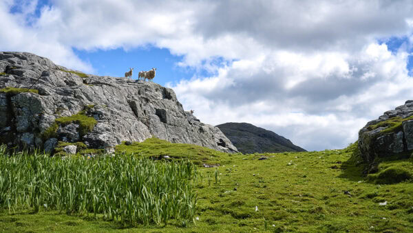 Isle of Barra