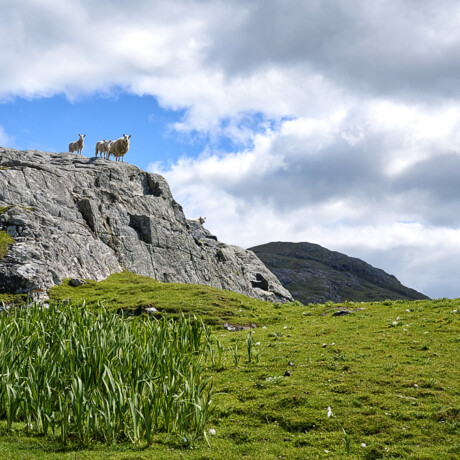 Isle of Barra