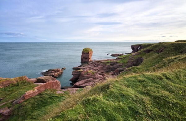 Arbroath Cliffs