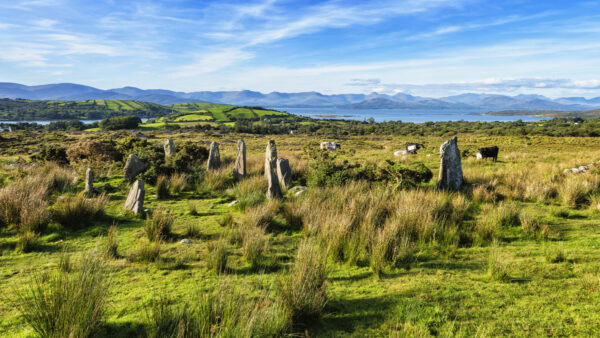 Ardgroom Stone Circle