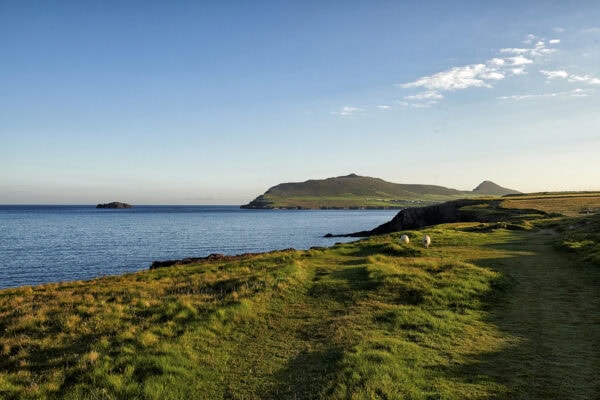 Ballydavid Cliff Walk