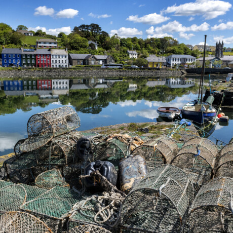 Bantry harbour