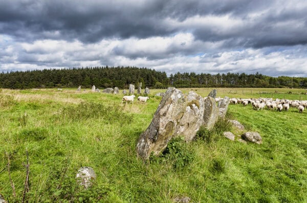 Beltany Stone Circle