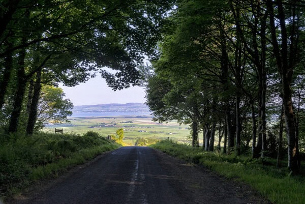 Binevenagh