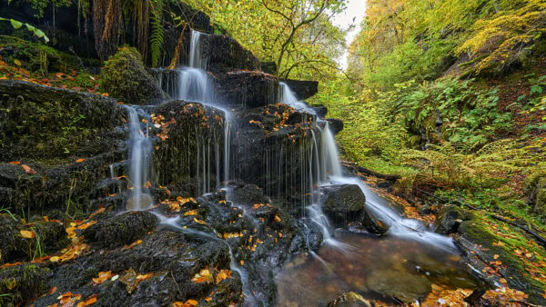 Birks of Aberfeldy