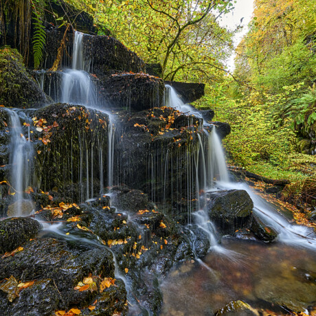 Birks of Aberfeldy