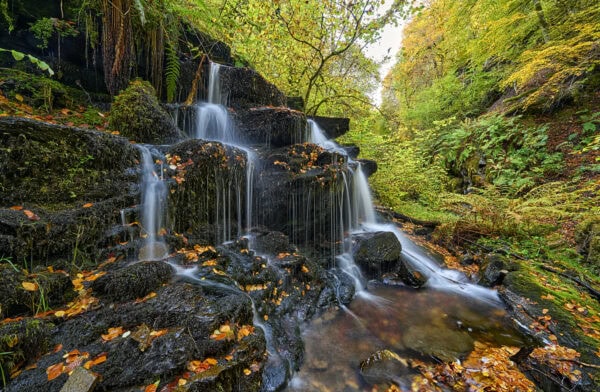 The Birks of Aberfeldy
