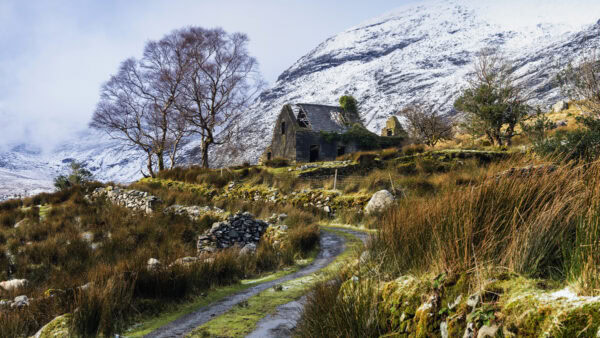 Black Valley Cottage