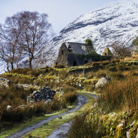 Black Valley Cottage