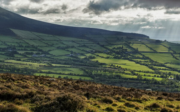 Blackstairs Mountains