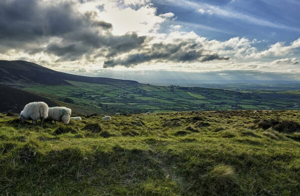 Blackstairs Mountains