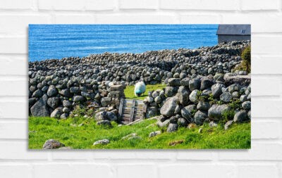 Bloody Foreland - Irland Foto