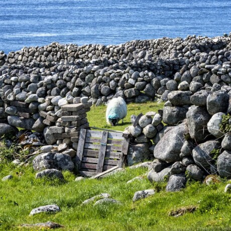 Bloody Foreland