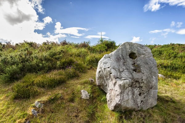 Bonane Heritage Park