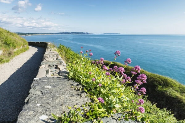 Bray Cliff Walk