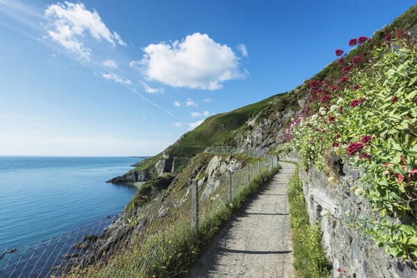 Bray Cliff Walk