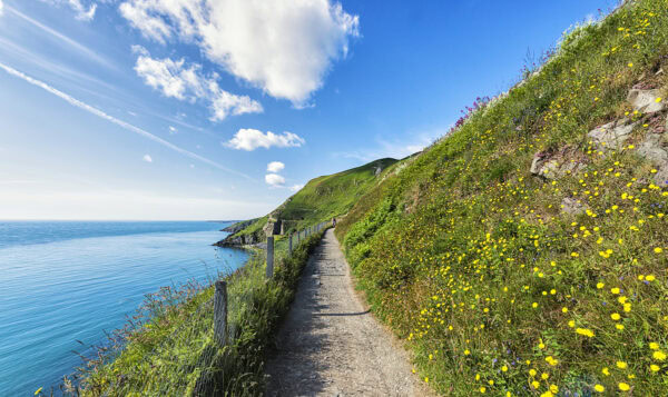 Bray Cliff Walk