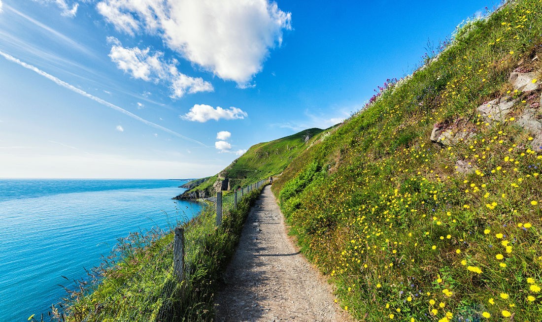 Bray Cliff Walk, Co. Wicklow, Irland