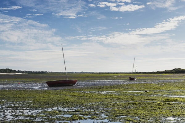 North Bull Island