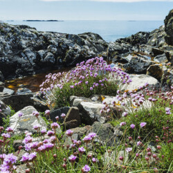 Aillebrack Beach or Trá Mhóir near Bunowen in Connemara, County Galway, Ireland Aillebrack Beach