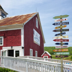 Dempsey Corner Orchard in Annapolis Valley, Nova Scotia, Canada Annapolis Valley