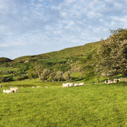 Beautiful coastline in County Antrim, Northern Ireland Antrim Coast