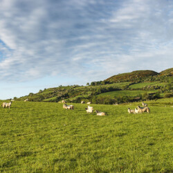 Beautiful coastline in County Antrim, Northern Ireland Antrim Coast