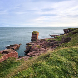 Arbroath Cliffs, Angus, Scotland Arbroath Cliffs