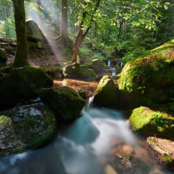 Gertelbach Wasserfälle near Bühlertal, Black Forest, Germany Gertelbach Wasserfälle