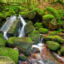 Gertelbach Wasserfälle near Bühlertal, Black Forest, Germany Gertelbach Wasserfälle
