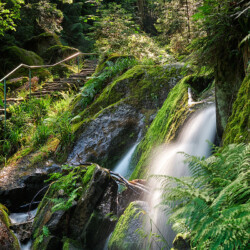 Gertelbach Wasserfälle near Bühlertal, Black Forest, Germany Gertelbach Wasserfälle