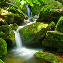 Gertelbach Wasserfälle near Bühlertal, Black Forest, Germany Gertelbach Wasserfälle