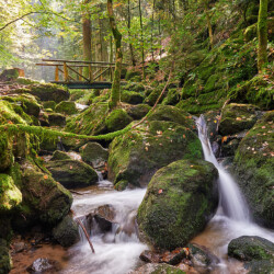 Gertelbachschlucht near Bühlertal, Black Forest, Germany Gertelbachschlucht
