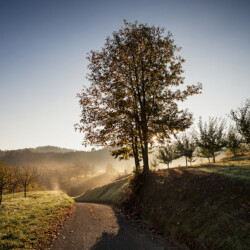 Autumn mood at Nesselried, Black Forest, Germany Autumn mood