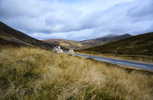 Cairnwell Pass