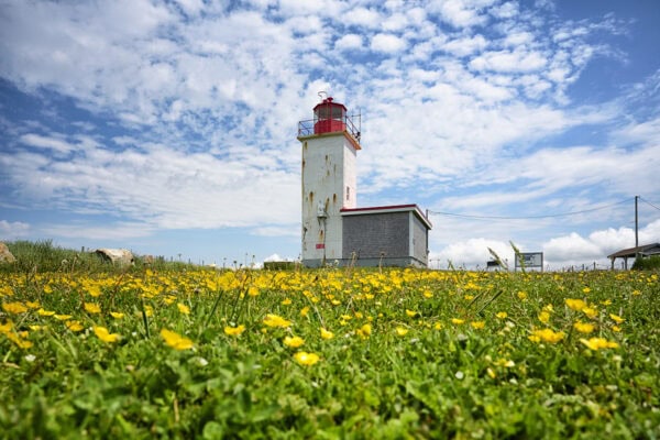 Cape St. Mary’s Lighthouse