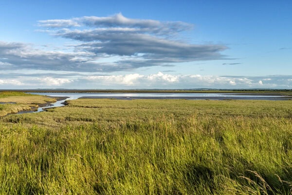 Carrig Cultra Wetlands