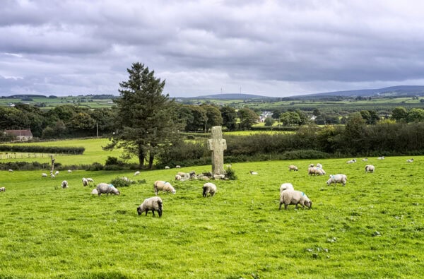 Carrowmore Crosses