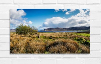 Carrowmore Lake - Photo of Ireland