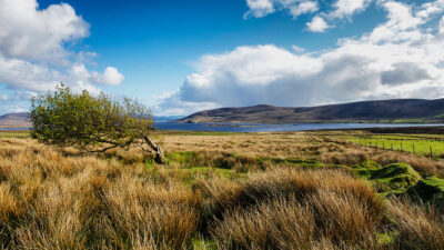Carrowmore Lake - Photo of Ireland