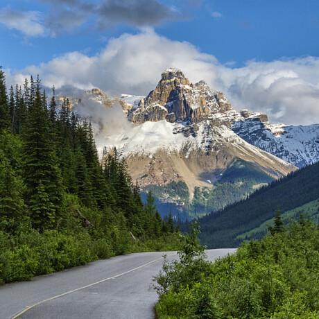 Cathedral Mountain