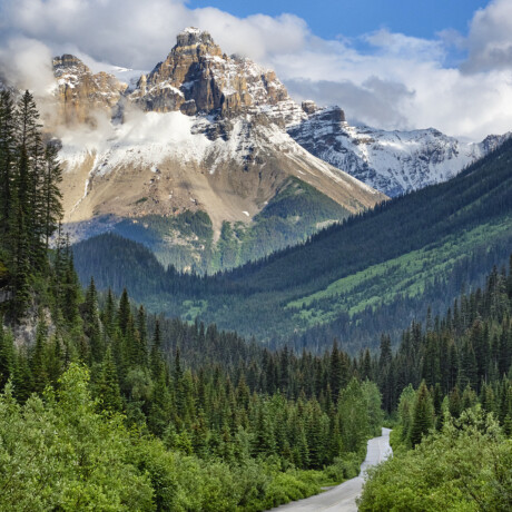 Cathedral Mountain