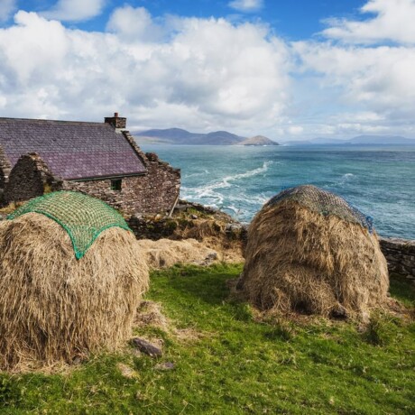 Cill Rialaig
