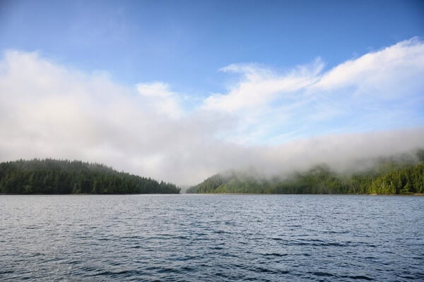 Clayoquot Sound