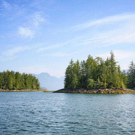 Clayoquot Sound
