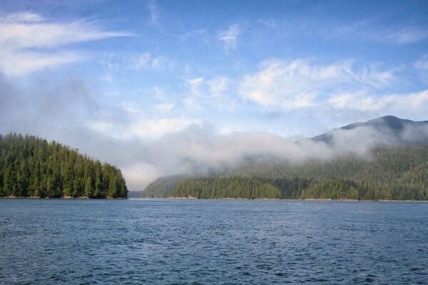 Clayoquot Sound