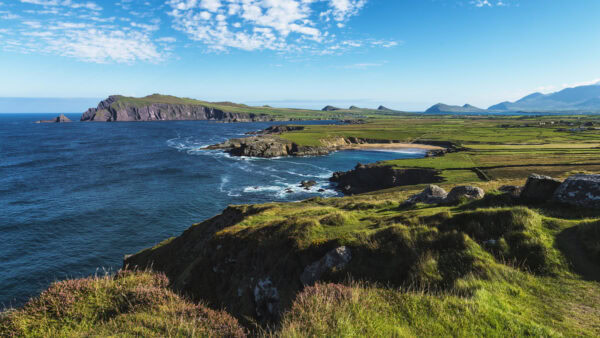 Clogher Head