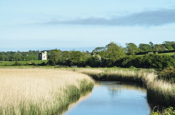 Clonmines Medieval Town
