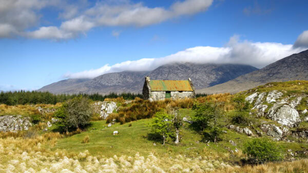 Connemara